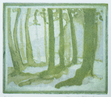 Boris Frhlich