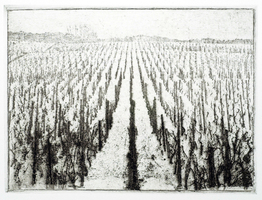 Boris Frhlich
