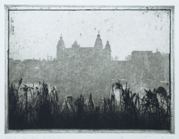 Boris Frhlich