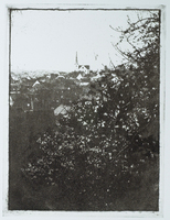 Boris Frhlich