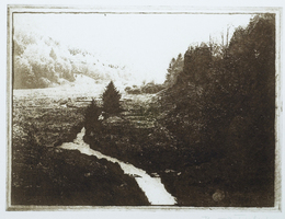 Boris Frhlich