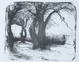 Boris Frhlich